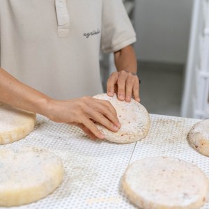 Trentino Farm Tour & Tasting Experience