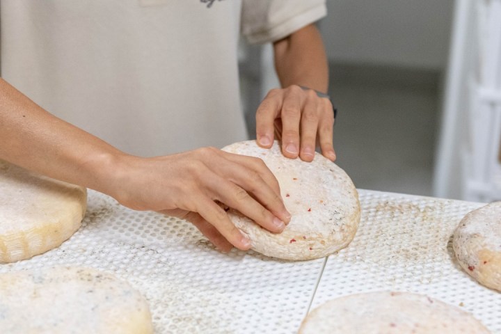 Trentino Farm Tour & Tasting Experience