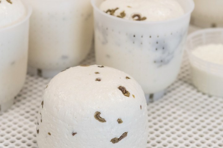 Trentino Farm Tour & Tasting Experience