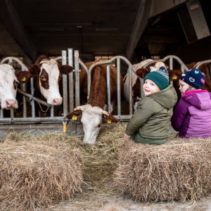 Trentino Farm Tour & Tasting Experience