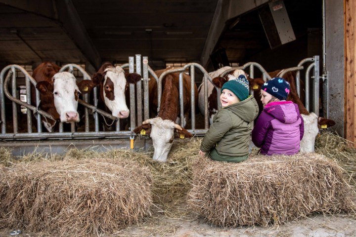 Trentino Farm Tour & Tasting Experience