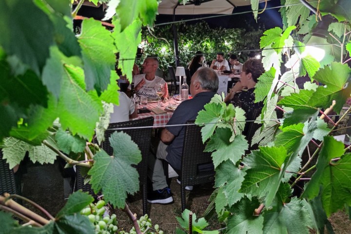 Lazio Region Wine Tour Experience