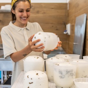 Trentino Farm Tour & Tasting Experience