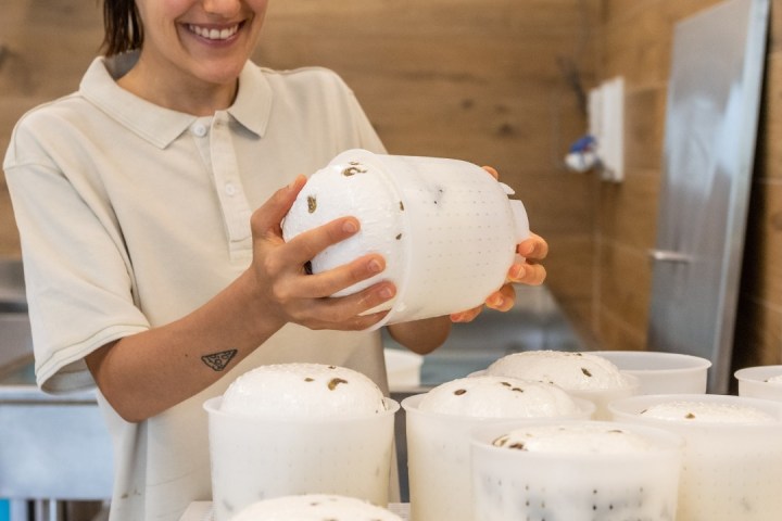 Trentino Farm Tour & Tasting Experience