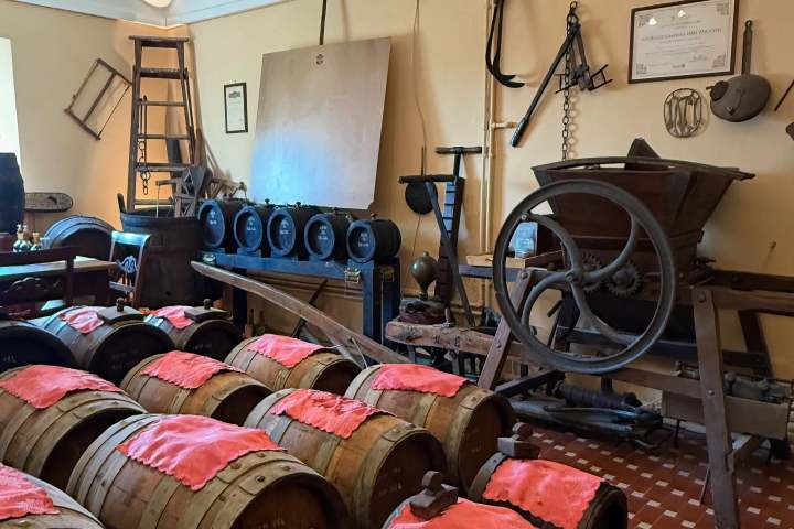 Modena Balsamic Vinegar Visit & Light Tasting Experience