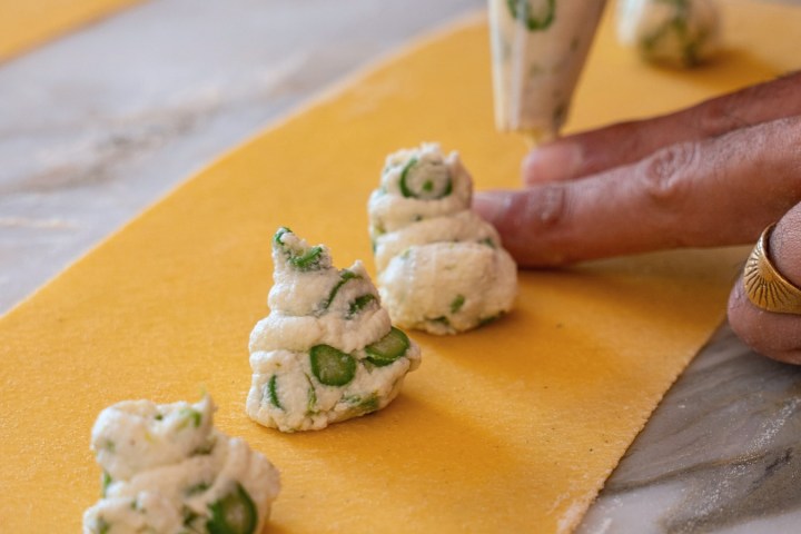 Piping ricotta filling with green herbs onto sheet of pasta.