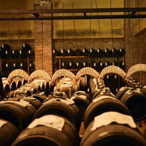 Modena Balsamic Vinegar Visit & Tasting Experience