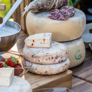 Trentino Farm Tour & Tasting Experience