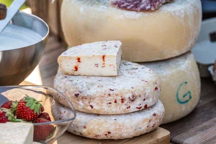 Trentino Farm Tour & Tasting Experience