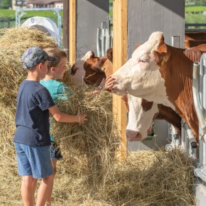 Trentino Farm Tour & Tasting Experience