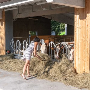 Trentino Farm Tour & Tasting Experience