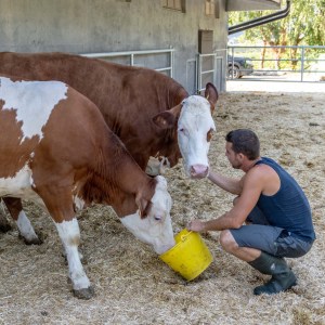 Trentino Farm Tour & Tasting Experience