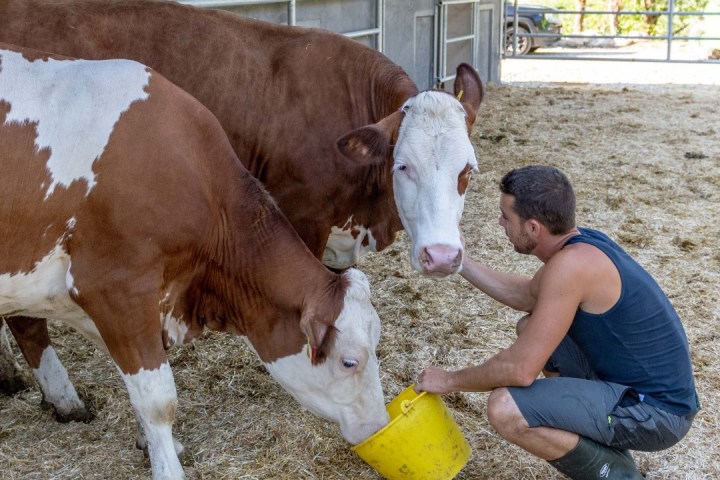 Trentino Farm Tour & Tasting Experience