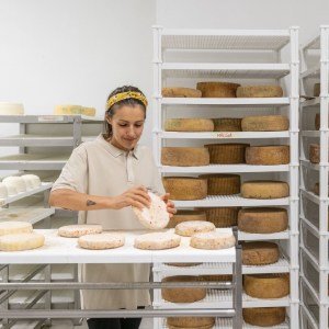 Trentino Farm Tour & Tasting Experience