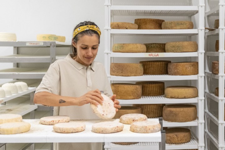 Trentino Farm Tour & Tasting Experience