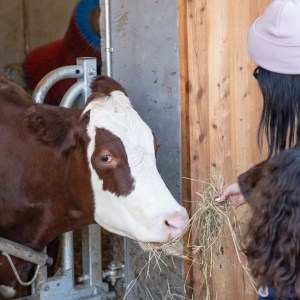 Trentino Farm Tour & Tasting Experience