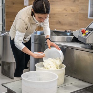 Trentino Farm Tour & Tasting Experience