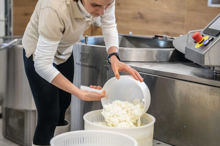 Trentino Farm Tour & Tasting Experience