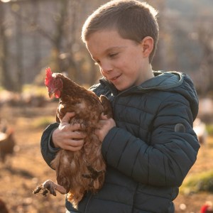 Trentino Farm Tour & Tasting Experience