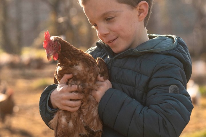 Trentino Farm Tour & Tasting Experience