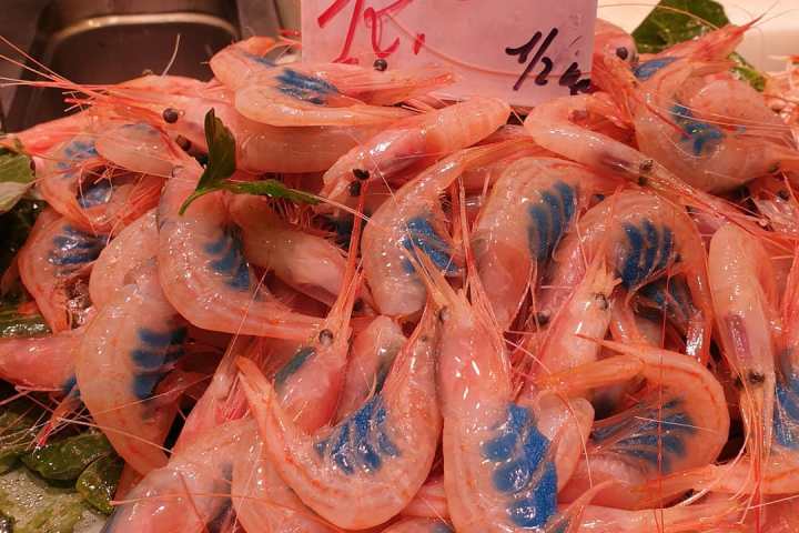 Barcelona Private Paella Cooking Class