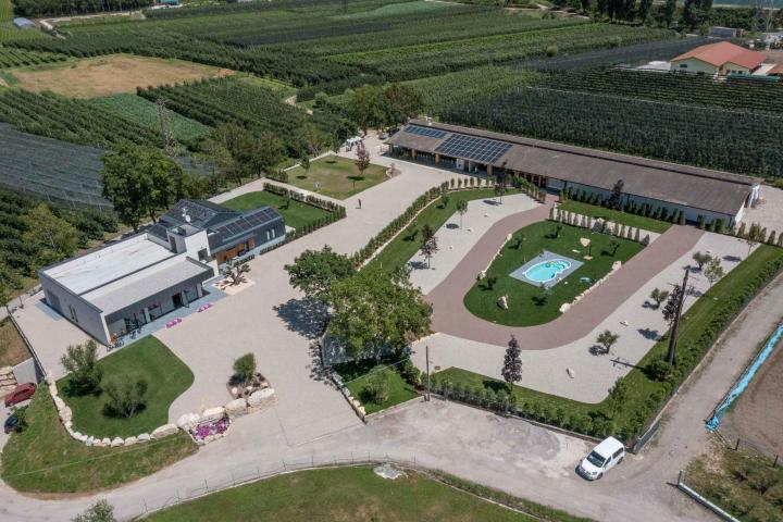 Trentino Farm Tour & Tasting Experience
