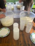 Cheese Making & Farm Lunch in the Italian Alps