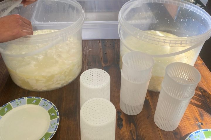 Cheese Making & Farm Lunch in the Italian Alps