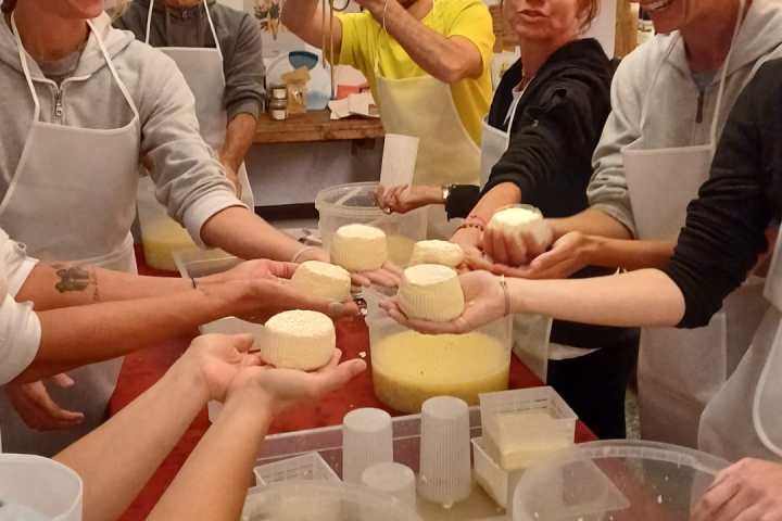 Cheese Making & Farm Lunch in the Italian Alps