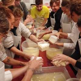 Cheese Making & Farm Lunch in the Italian Alps