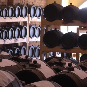 Modena Balsamic Vinegar Visit & Tasting Experience