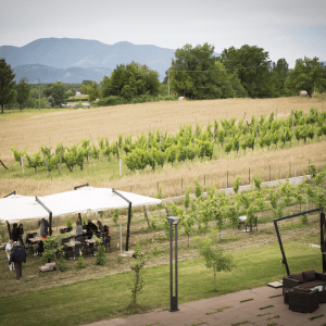 Lazio Region Wine Tour Experience