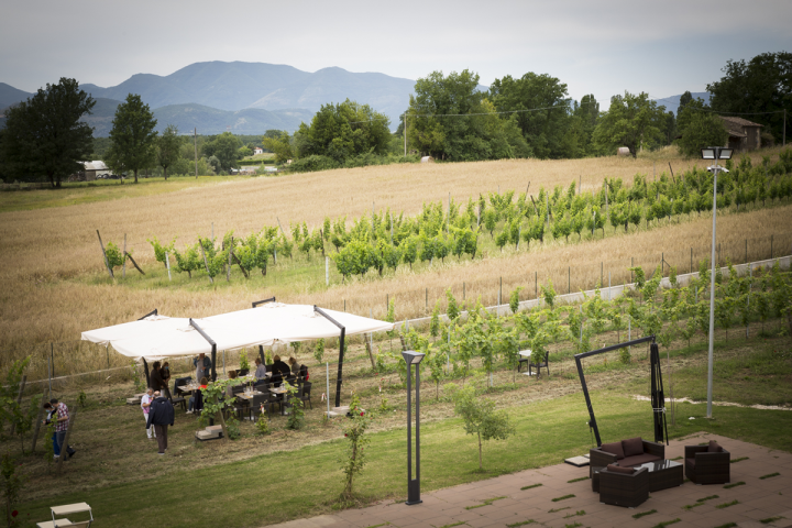 Lazio Region Wine Tour Experience