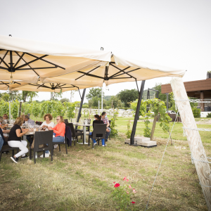 Lazio Region Wine Tour Experience