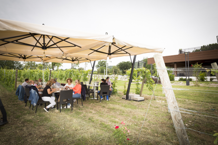 Lazio Region Wine Tour Experience