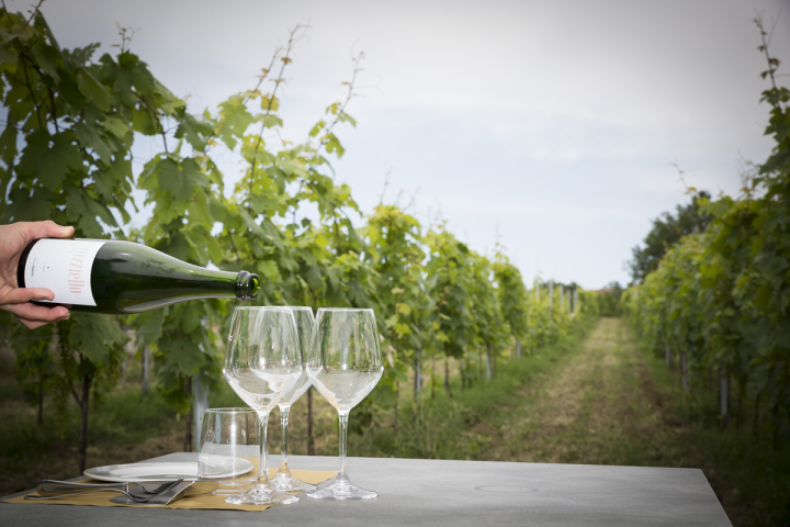 Lazio Region Wine Tour Experience