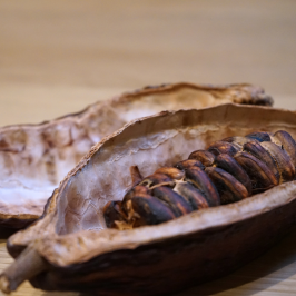 Turin Chocolate & Wine Tasting tour