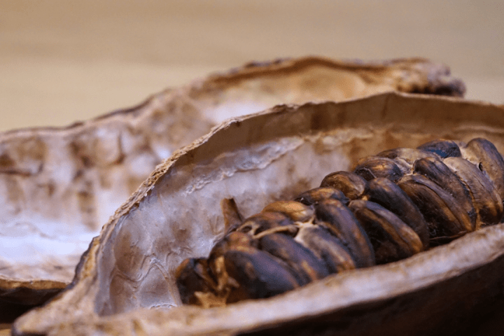 Turin Chocolate & Wine Tasting tour