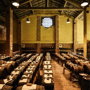 Modena Balsamic Vinegar Visit & Tasting Experience