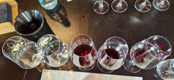 Palermo Wine Tour & Tasting Experience