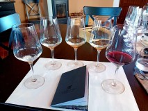 Palermo Wine Tour & Tasting Experience