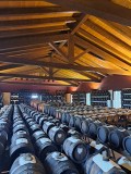 Modena Balsamic Vinegar Tour & Tasting Experience