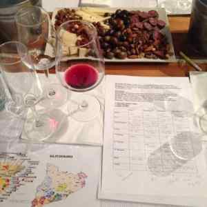 Barcelona Wine Tasting & Pairing Class Experience