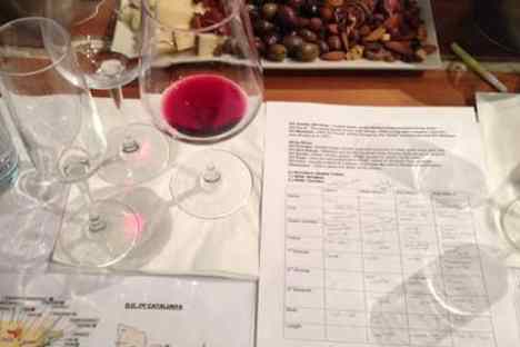 Barcelona Wine Tasting & Pairing Class Experience