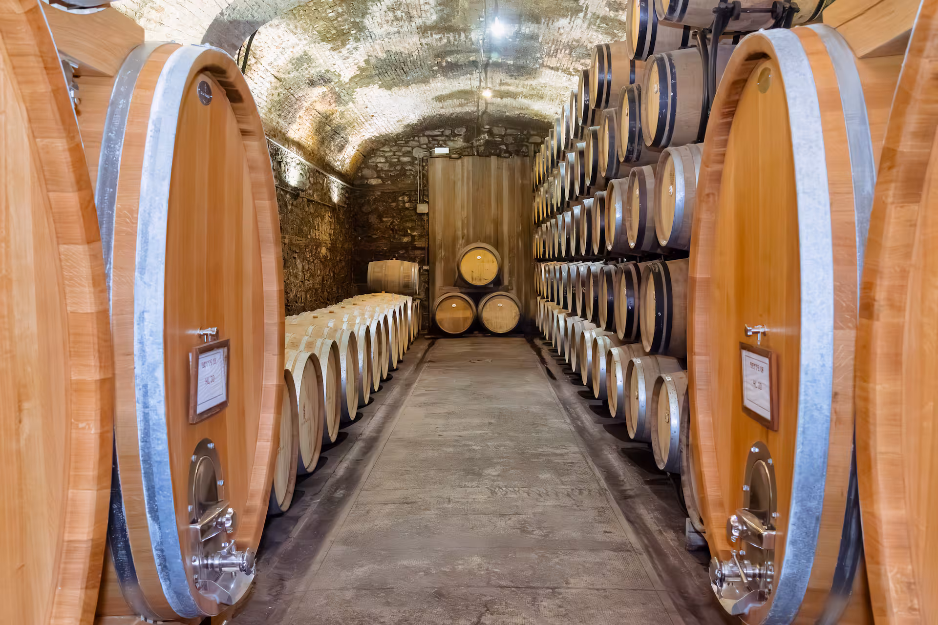 Tuscan Wine & Olive Oil tour