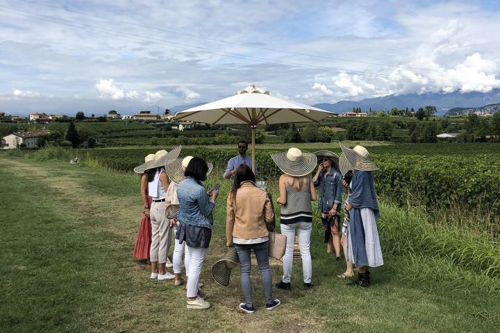Bardolino Wine Tour