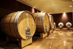Bardolino Wine Tour