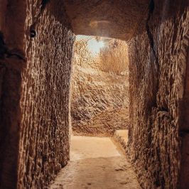 Cella Monte Wine Tasting