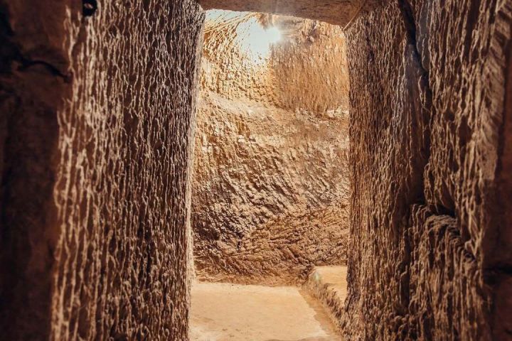 Cella Monte Wine Tasting