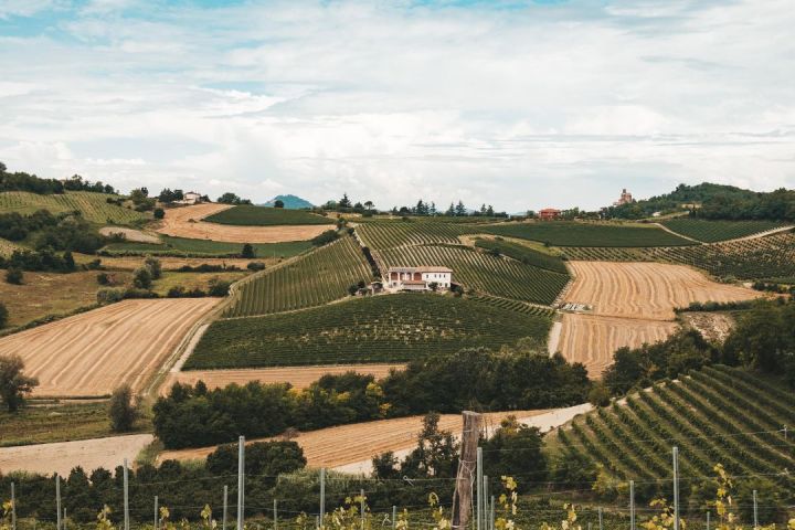 Cella Monte Wine Tasting